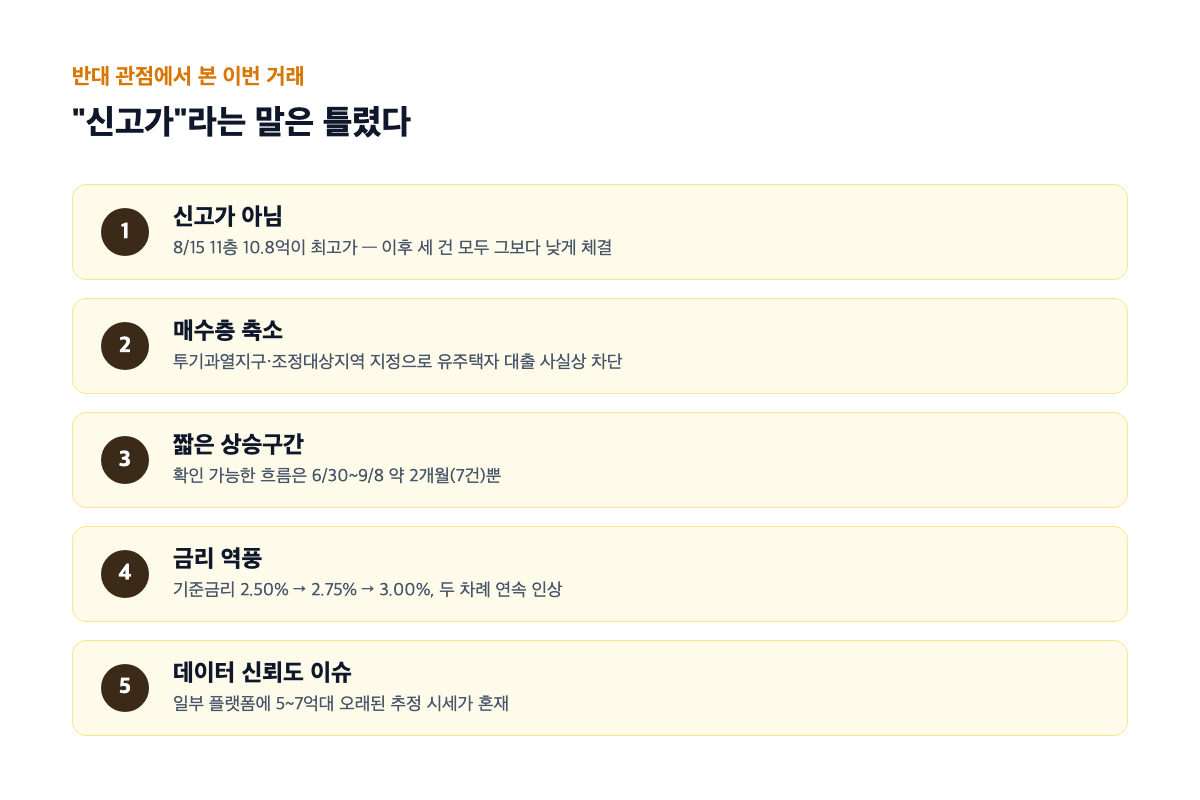 반대 관점 핵심 포인트 카드